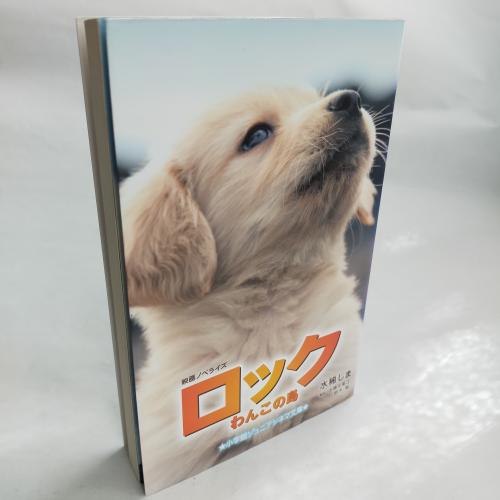 しょーがくかんじゅにあしねまぶんこ
ろっくわんこのしま